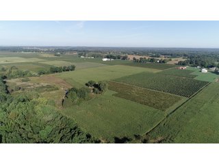Van Buren County, Michigan Farmland - LAND AUCTION - 300+/- ACRES SPECIALTY CROP - GRAPES AND HOPS - OFFERED IN 8 TRACTS IN VAN BUREN COUNTY, MICHIGAN
